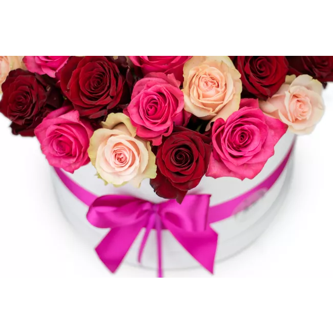 Květinový box růží